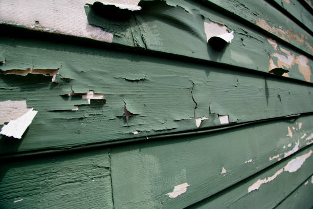 Best Property Management Cleanouts  in Loma Ri, CA
